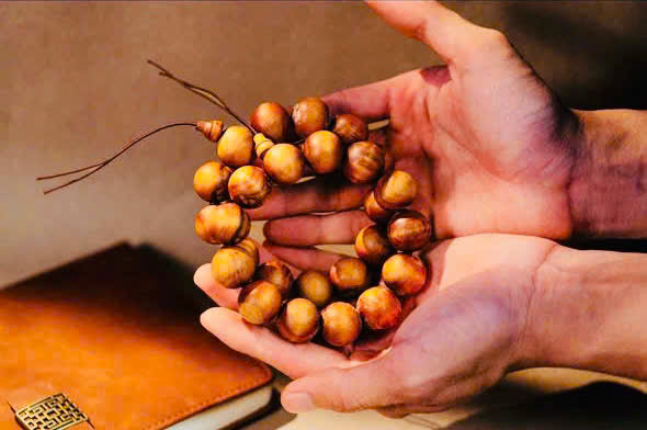 Sacred Root | Vietnamese Aromatic Wood Bracelet – 18mm